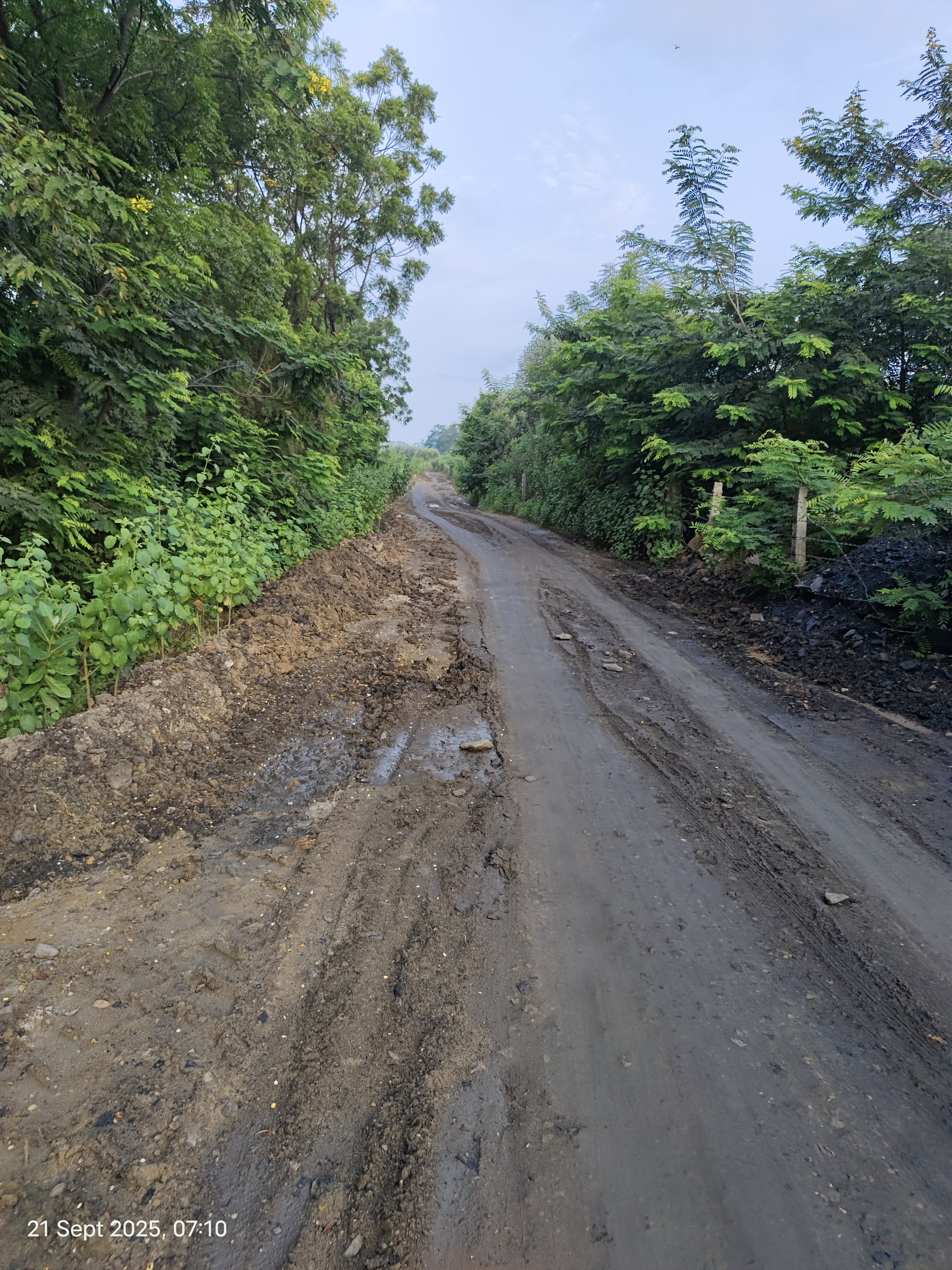Picture of the bad patch of road to the end of my walk